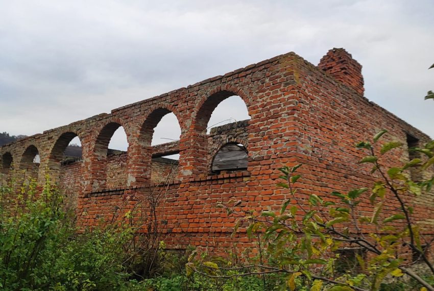 WhatsApp Image 2025-11-07 at 103321